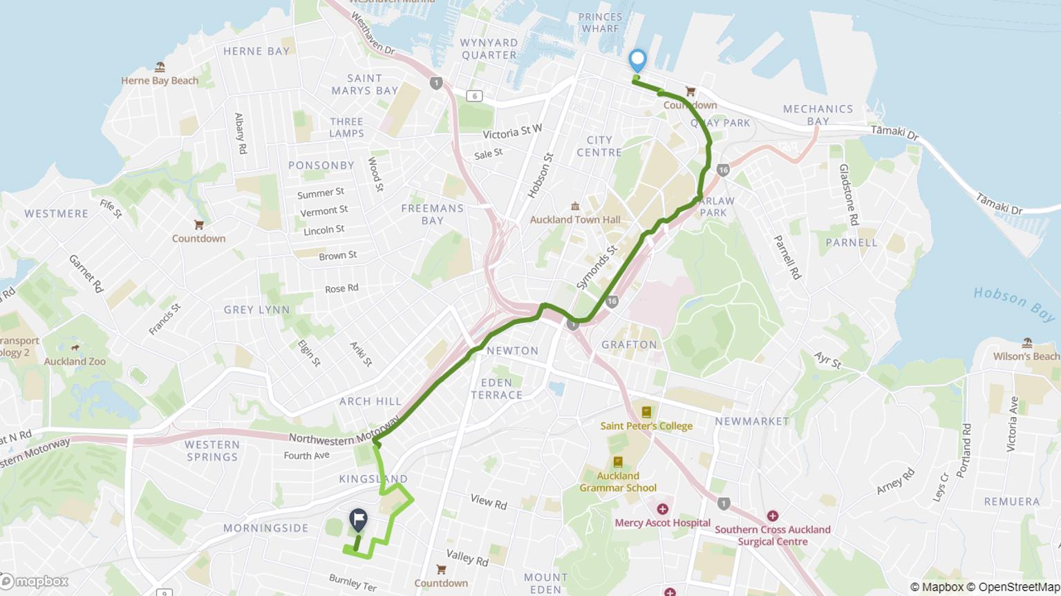 Zoomed out map of cycle route from Britomart to Eden Park.