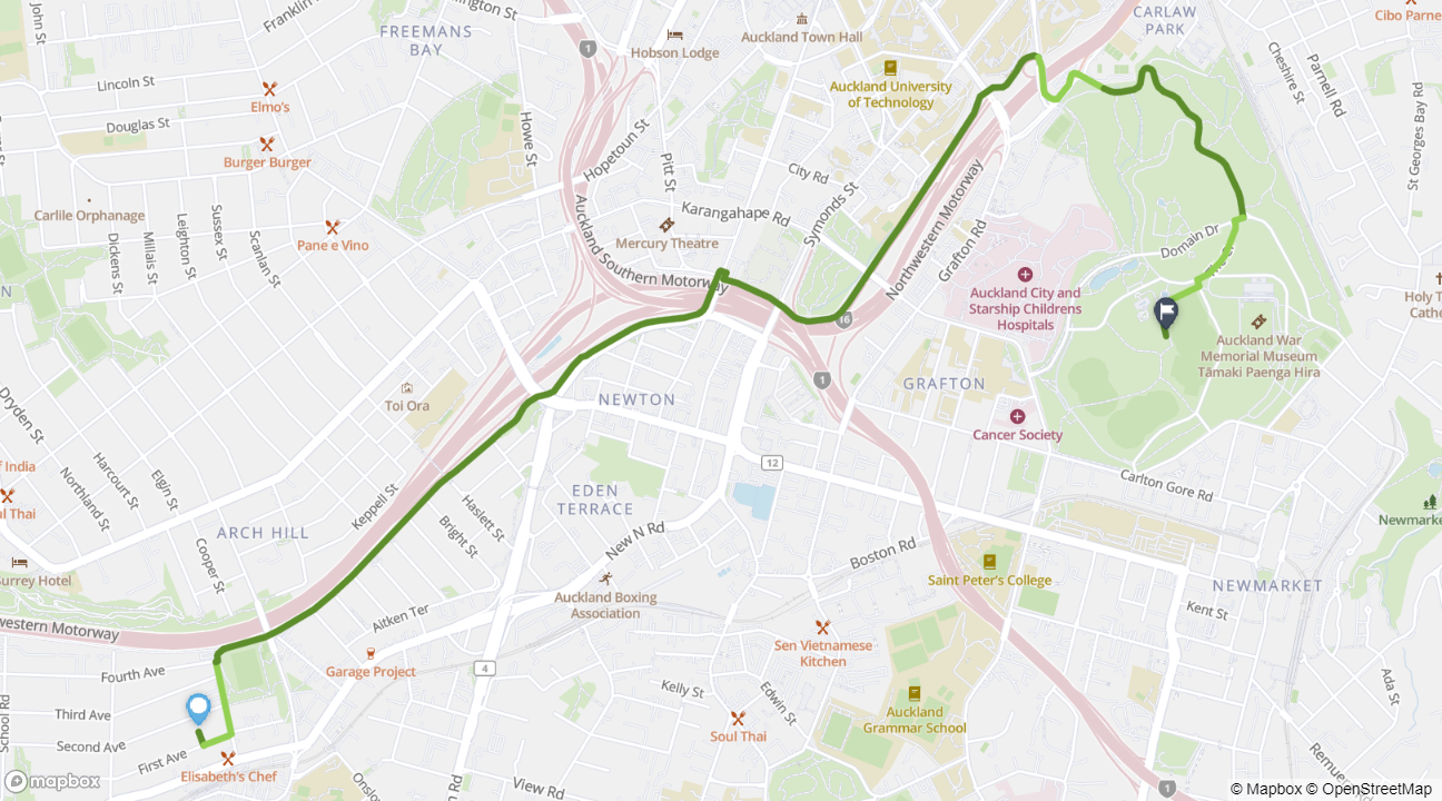 Kingsland to Auckland Domain cycle route map