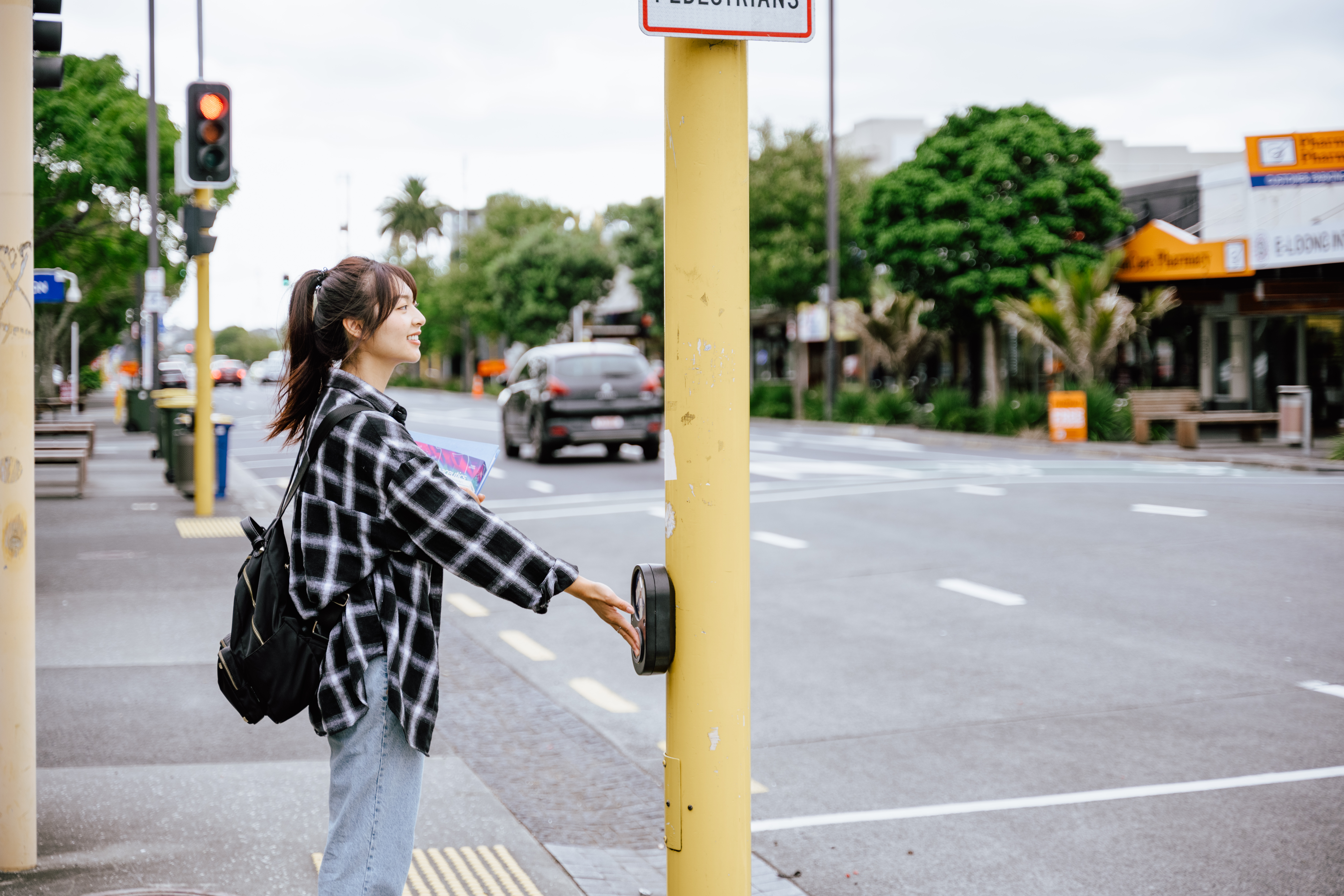 Person using a pedestrian crossing