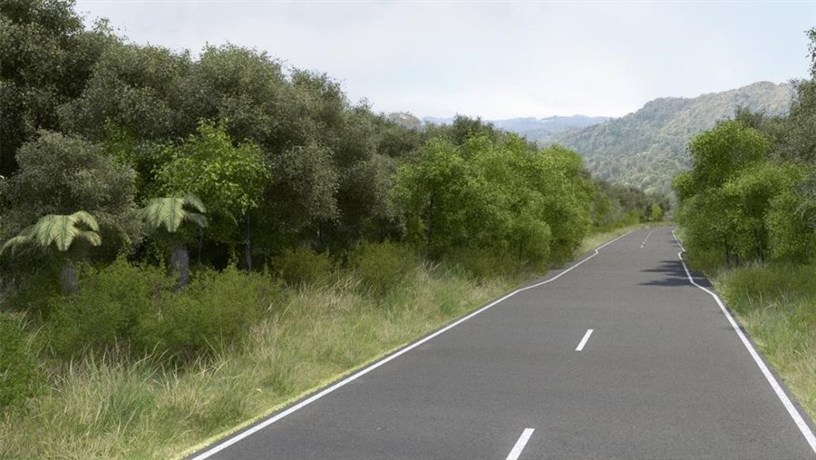 Waitakere Heritage Area Road