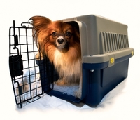 Suitable Pet Carriers