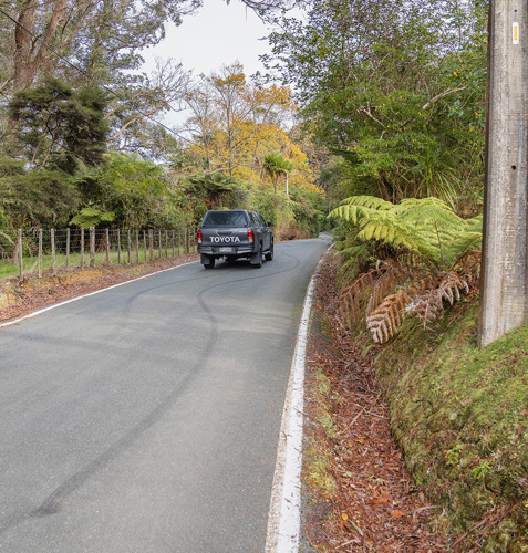 Mudgeways Road in Massey