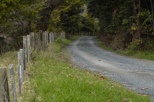 Smith Road in Matakana