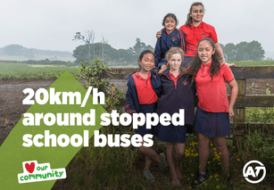 Tips for driving around rural schools.