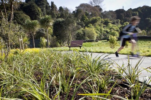 South Titirangi Neighbourhood Network - We're trialing a new