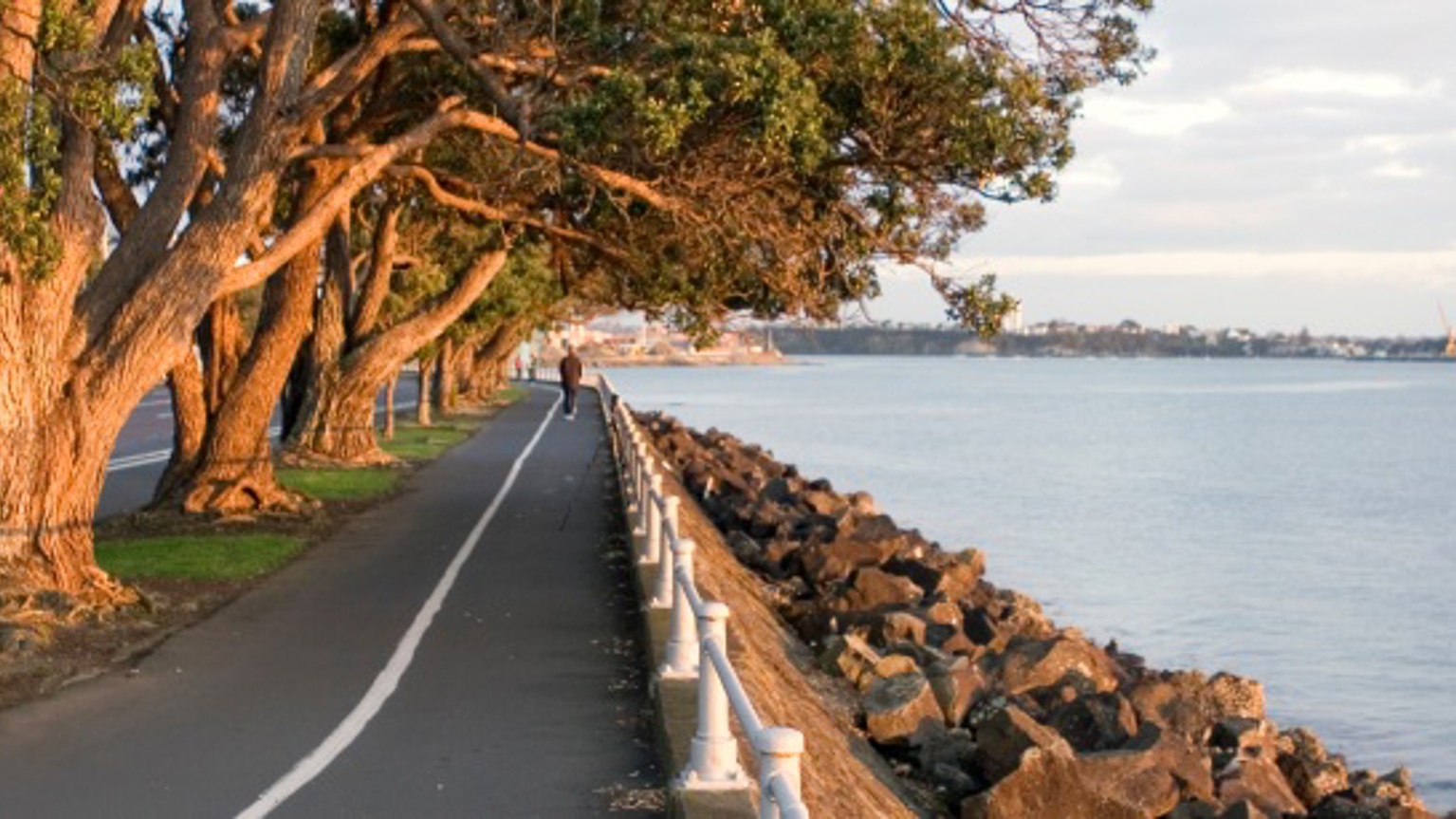 The sun sets on Pohutukawa trees along Tāmaki Drive. To the right of the flat asphalt path there is a barrier to the rocks and water.