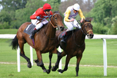 Ellerslie Racecourse Event Page Tile