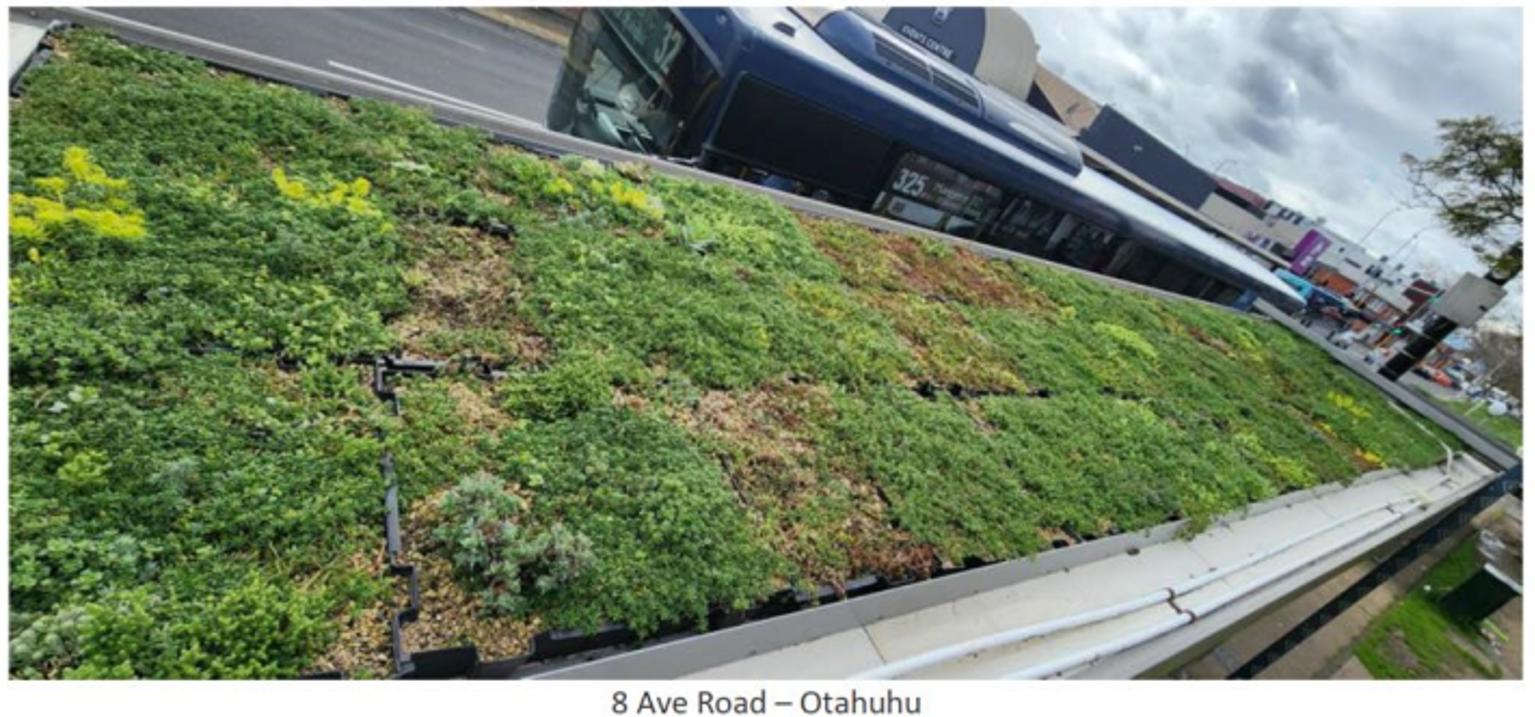 Aerial view of the green roof on top of a bus shelter at 8 Ave Road, Otahuhu,
