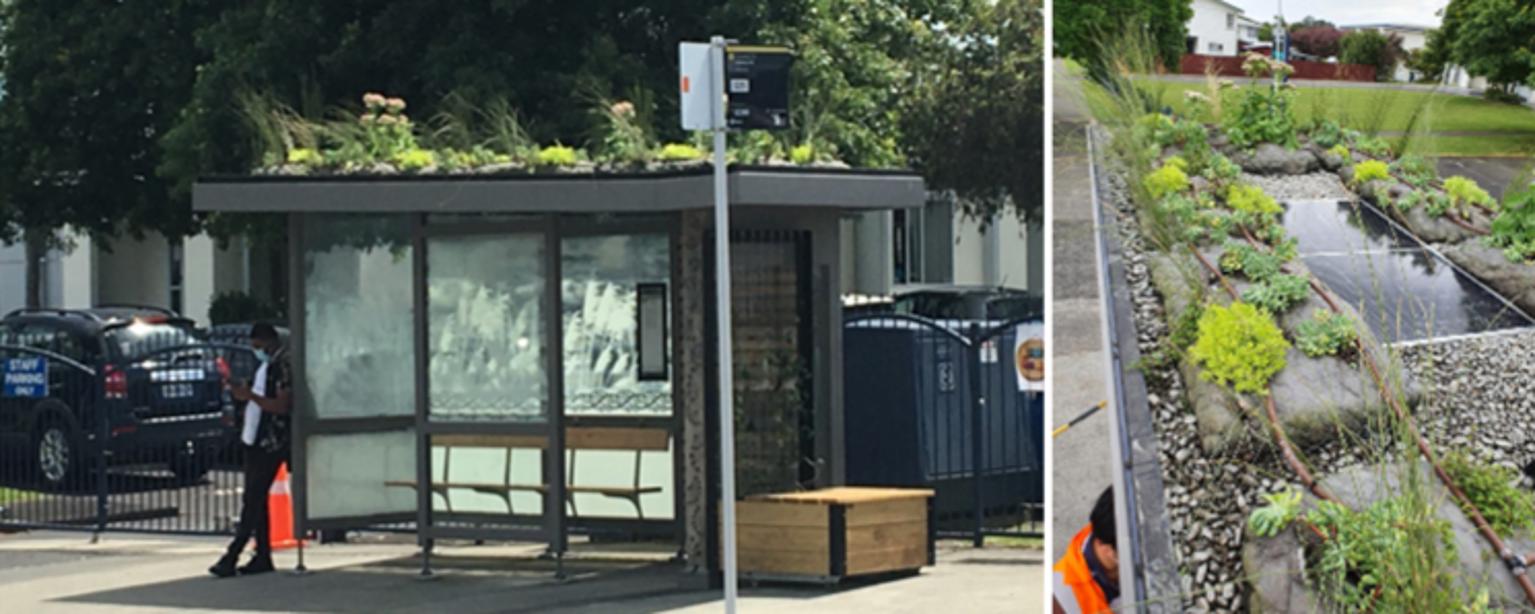 A collage of two images showing the green roof installation on the Diorella Drive bus stop in Clover Park. One photo is from the front and the other is from the top.