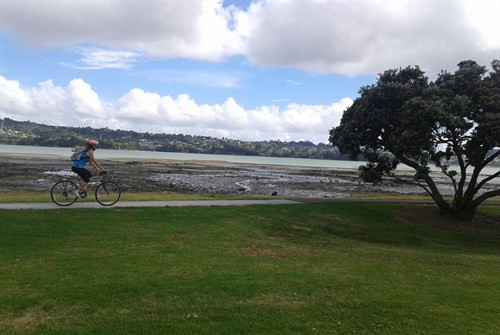 Mangere Bridge Cycling