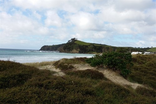 Matakana Cycleway Beach