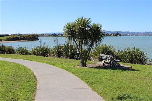 Wattle Downs Cycleway