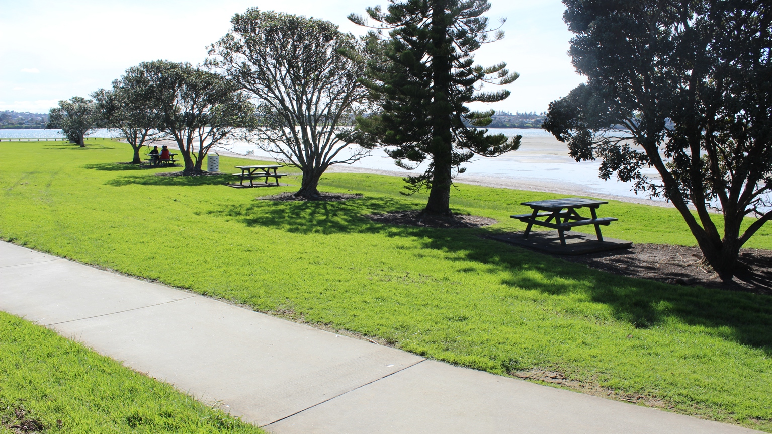 A flat, concrete path through a park by the water's edge. Under a line of trees are picnic tables.