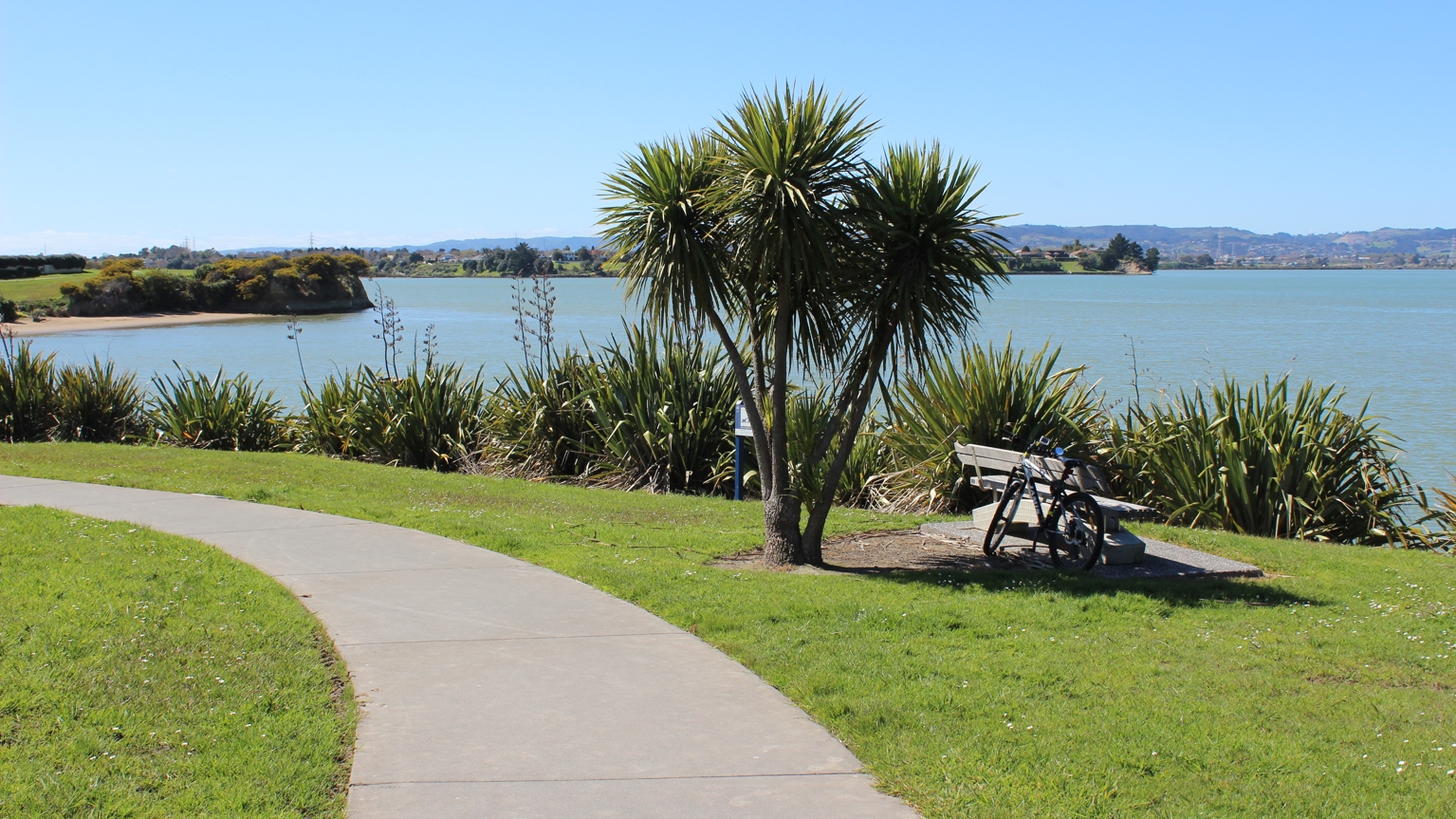A flat, concrete path through a park by the water. There is a seat by a tree on the right to stop and rest.