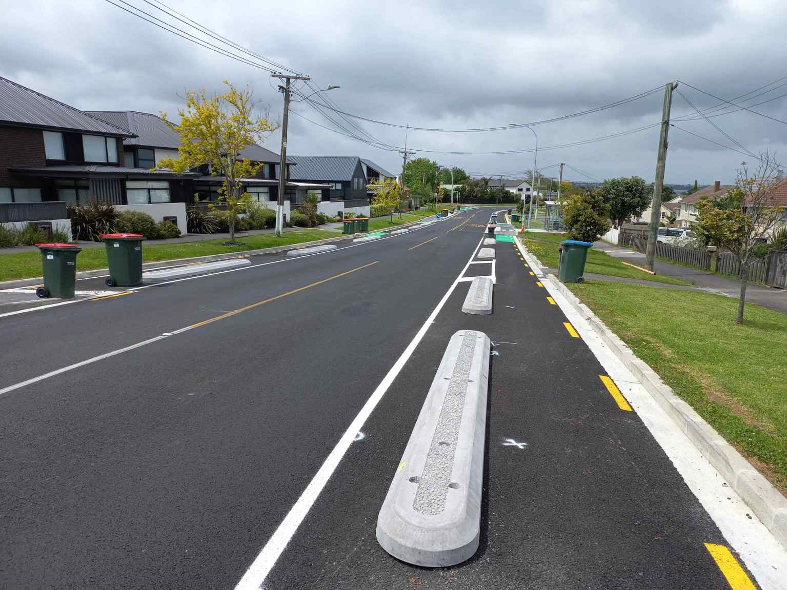 Image showing Taniwha cycleway. 