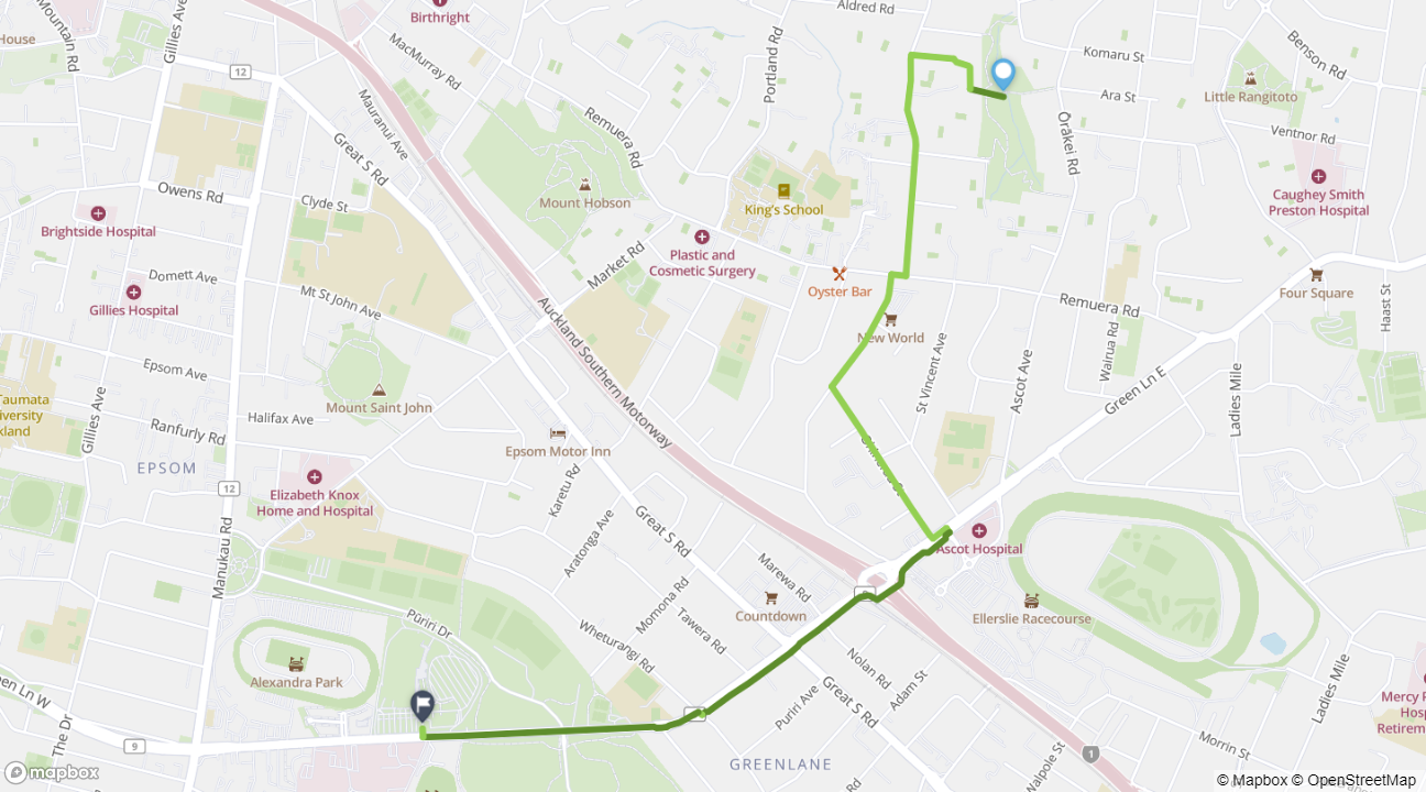Remuera to Auckland Showgrounds cycle route map