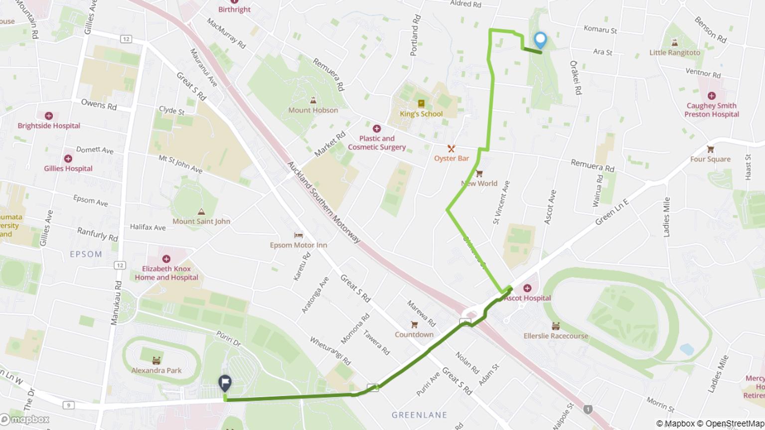 Remuera to Auckland Showgrounds cycle route map