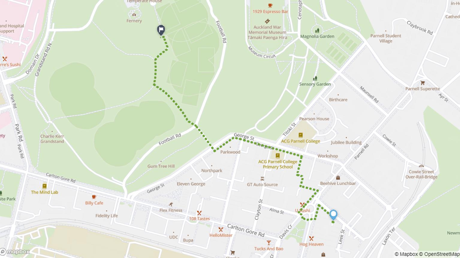 Newmarket to Auckland Domain walking journey map
