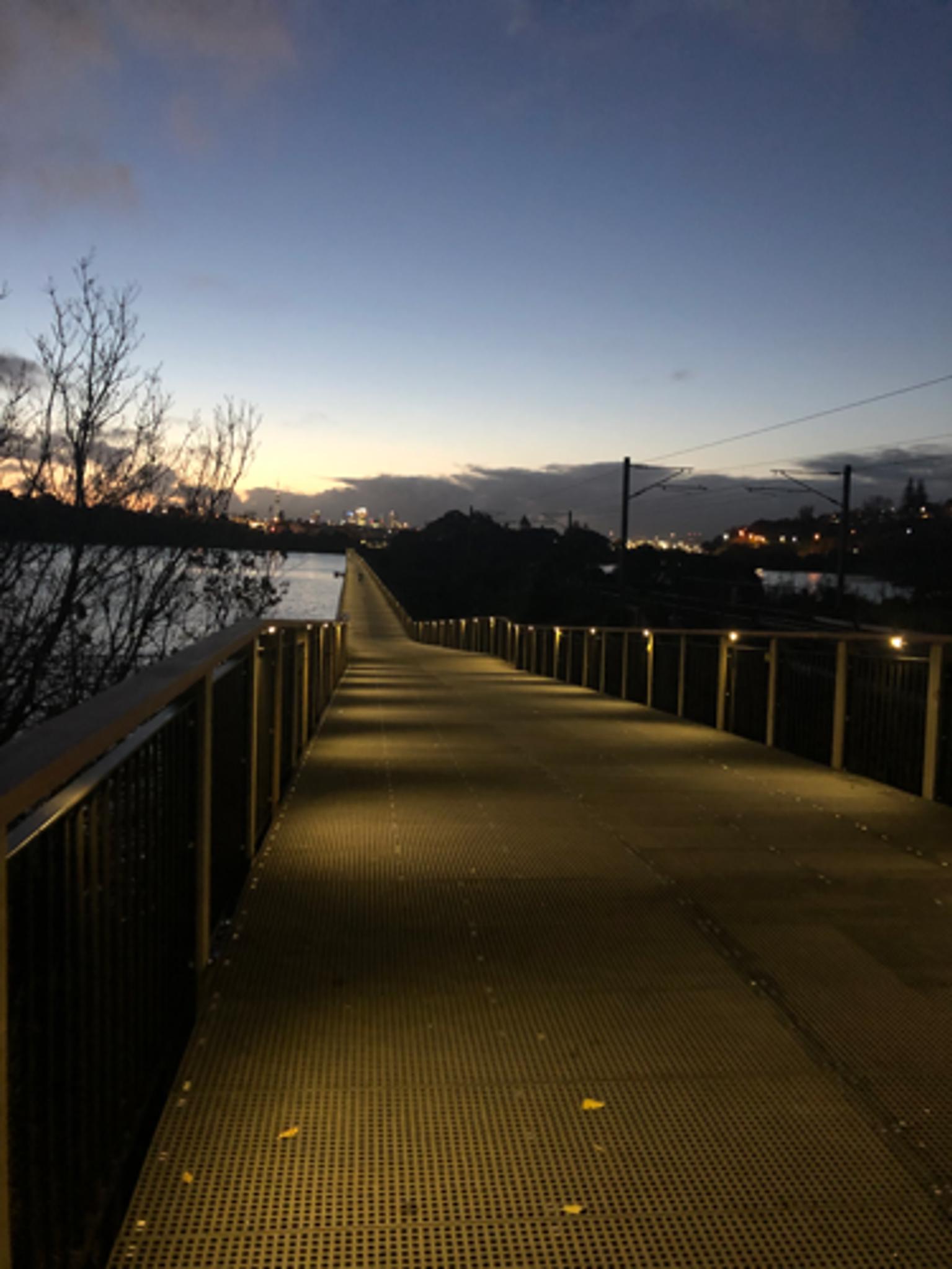 The Orakei Basin boardwalk at dusk.