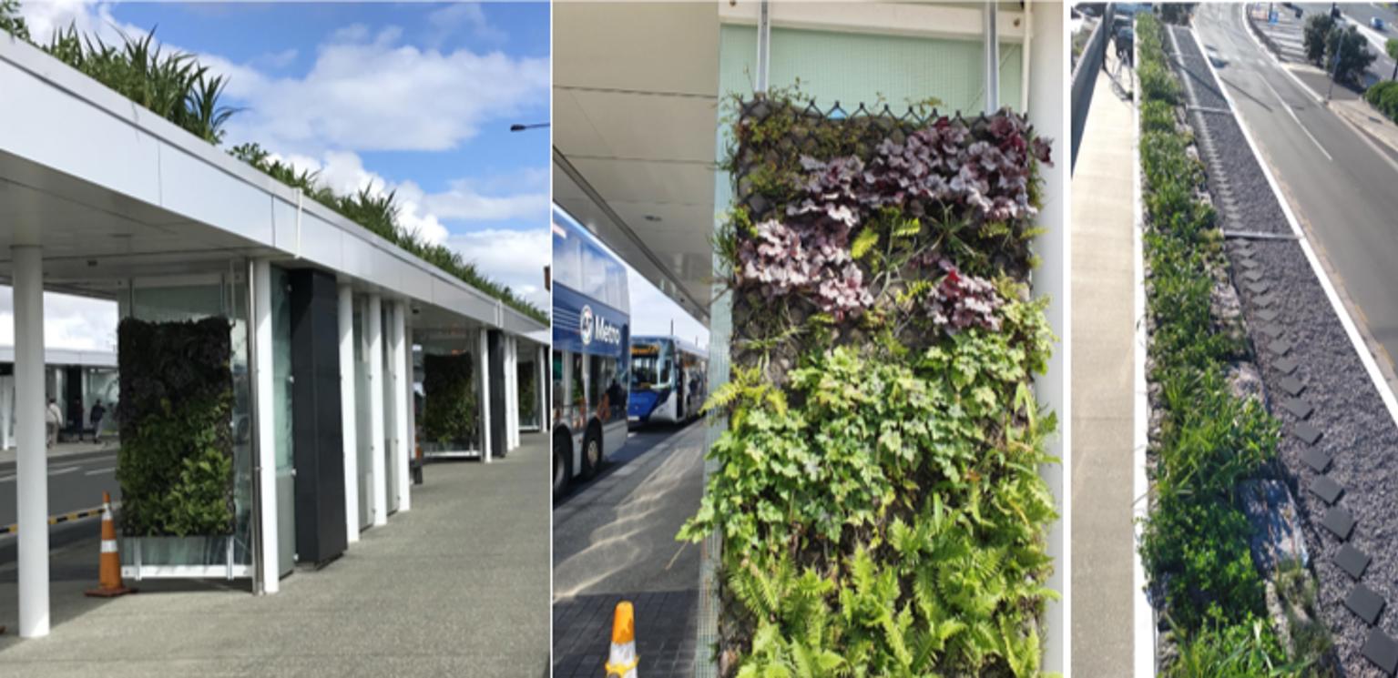 A collage of three images of the green roof installation on a bus stop in Panmure. The images show the green roof from the side and the top.