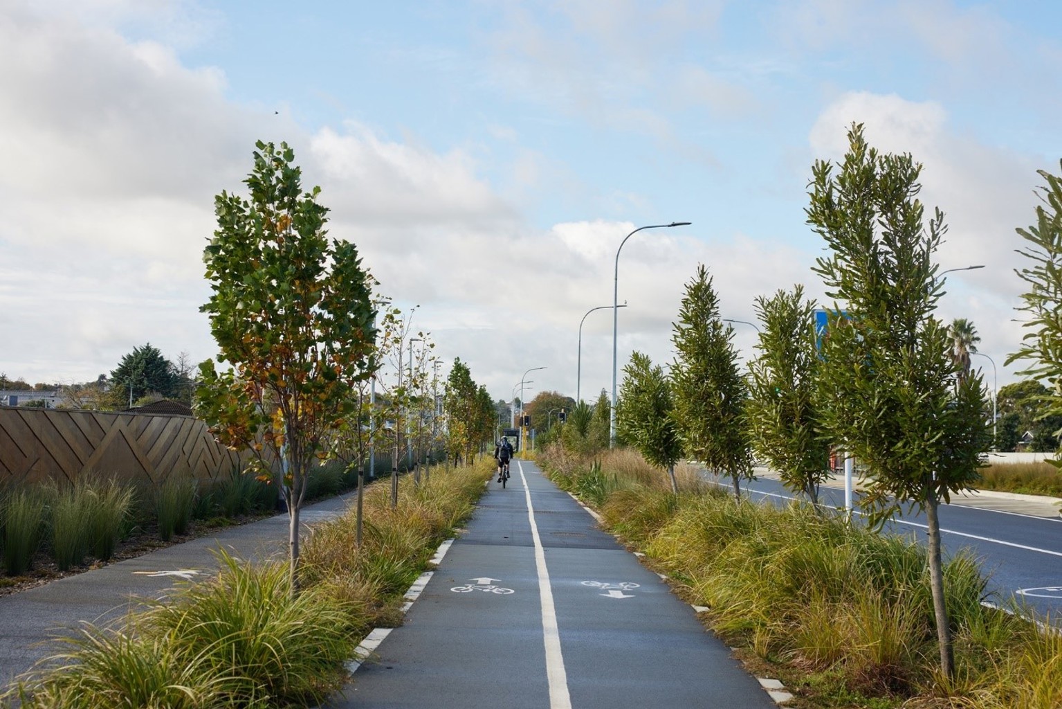 A new cycleway built as part of the first stage of the Eastern Busway project.