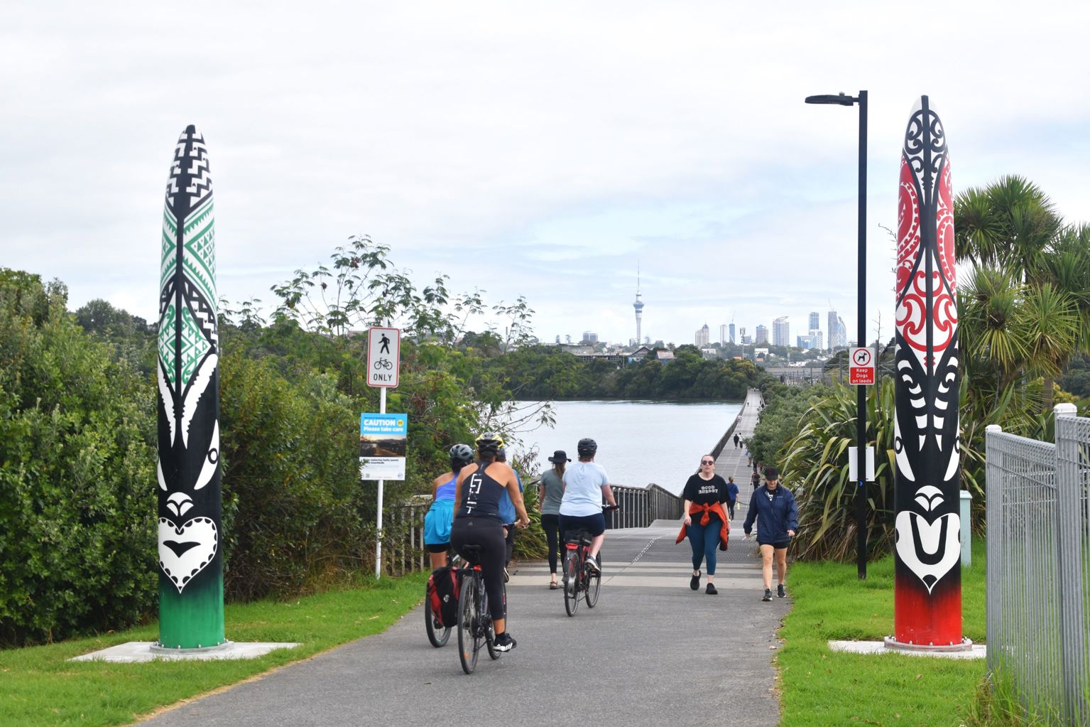 Cyclists moving between the pou at the Glen Innes to Tamaki Drive shared path.