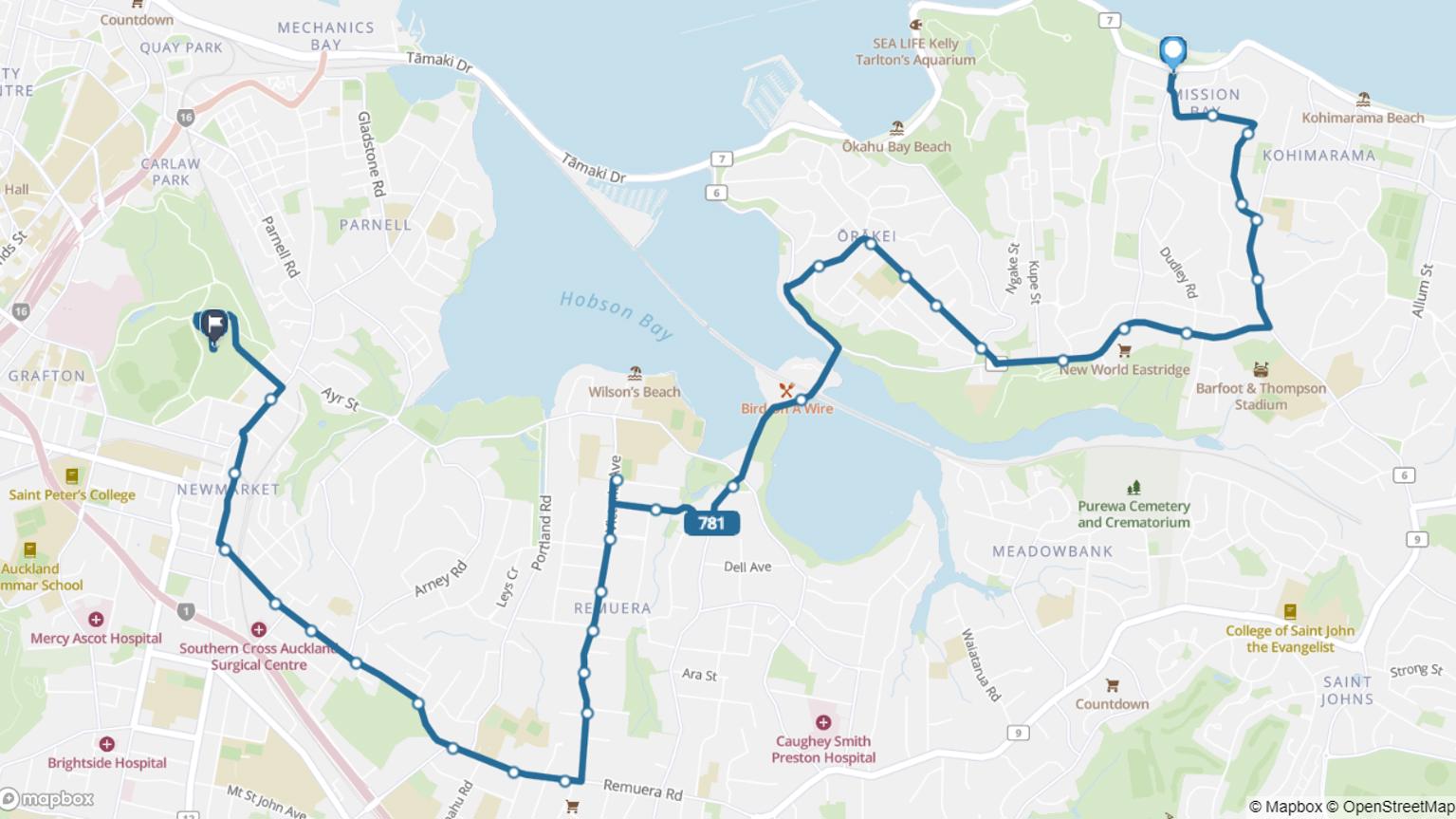 Mission Bay to Auckland Domain bus route 781 map