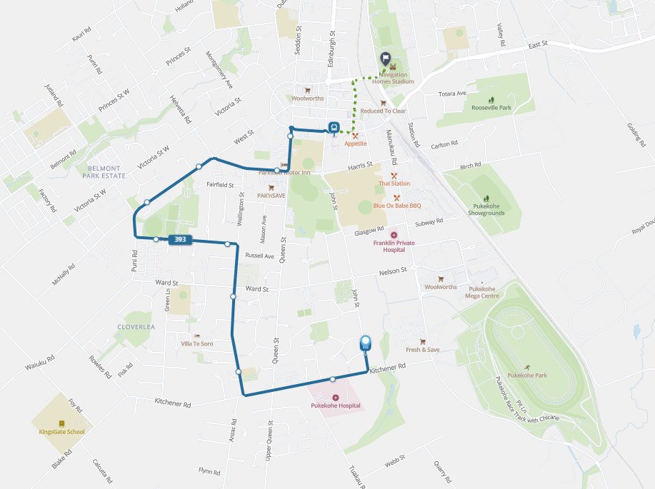 Route 393 Southern Pukekohe to Navigation Homes Stadium