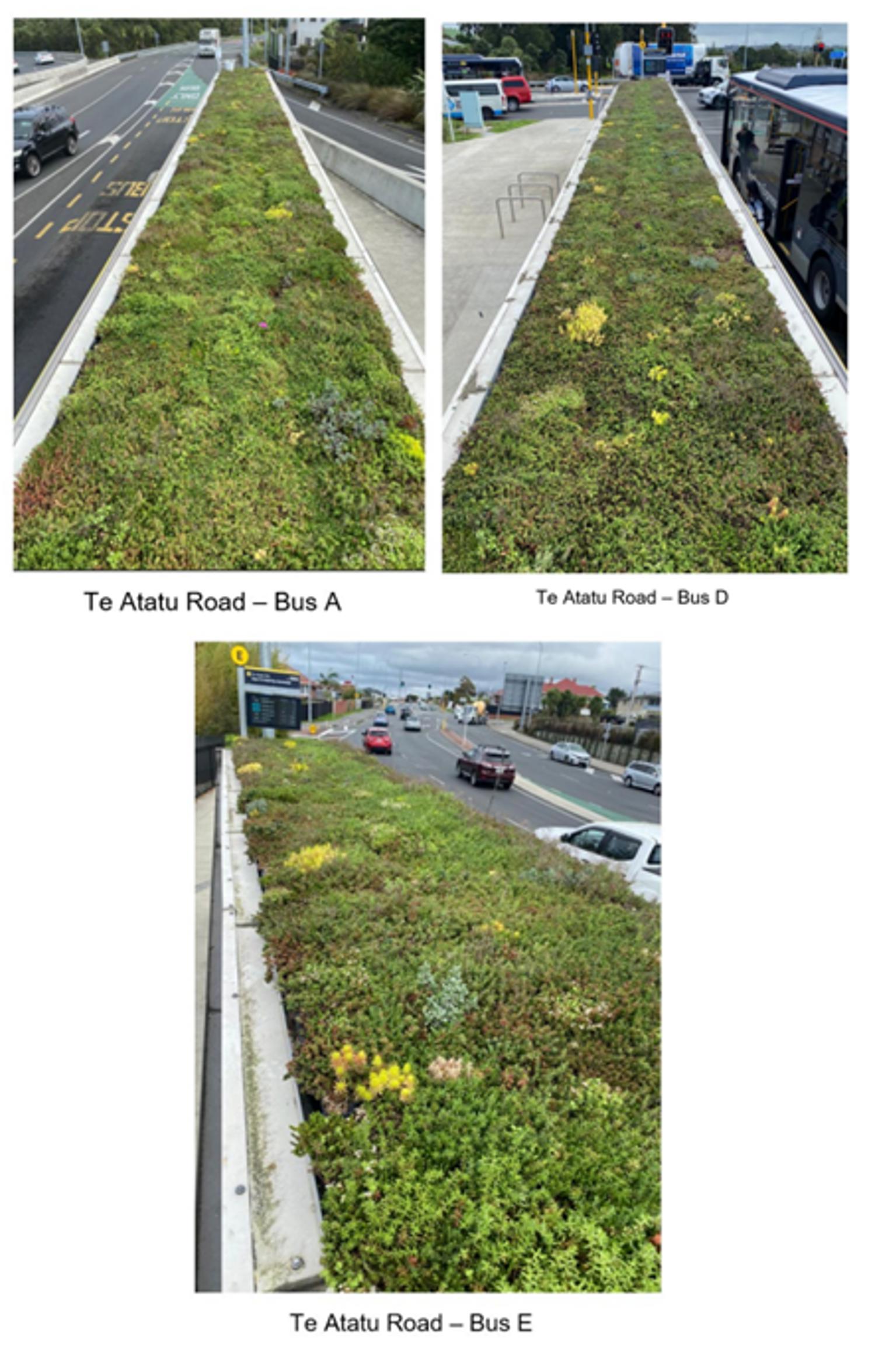 Three images showing green roofs on bus shelters on Te Atatu Road. All images are aerial views.