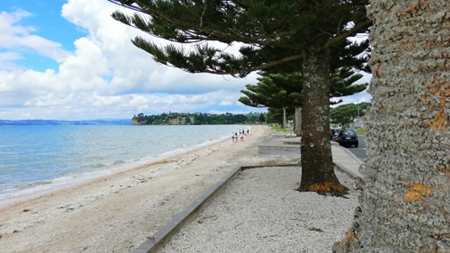 Pine Harbour waterfront.