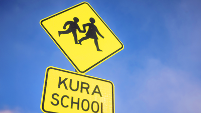 Travelwise School Programme