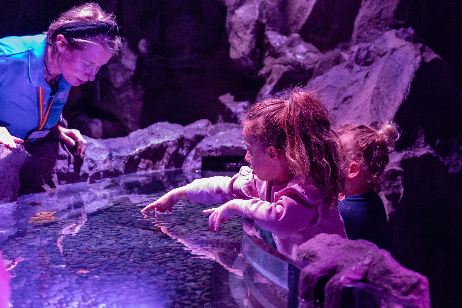 Kelly Tarlton's employee with two young girls looking at the rockpools at the aquarium.